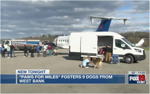 "Paws for Miles" Fosters 9 Dogs from West Bank Fox 19 news feature with van and plane